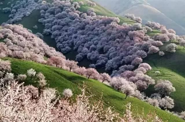 清明节超强拼假攻略！最长休8天，这些地方可以玩起来了！