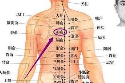 一个穴位，扶正心脏阳气！中华医学有瑰宝，我们却傻傻不用