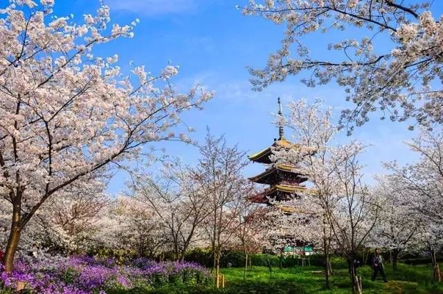 清明节小长假不知道去哪玩?郑州周边1-3日游线