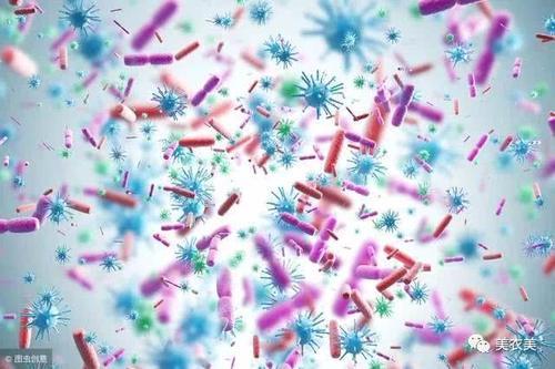 抗生素滥用副作用大:造成超级细菌--噬菌体可能