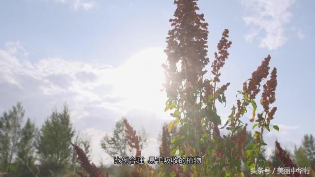 跟着美丽中华行一起走进塞外明珠，山水凉城