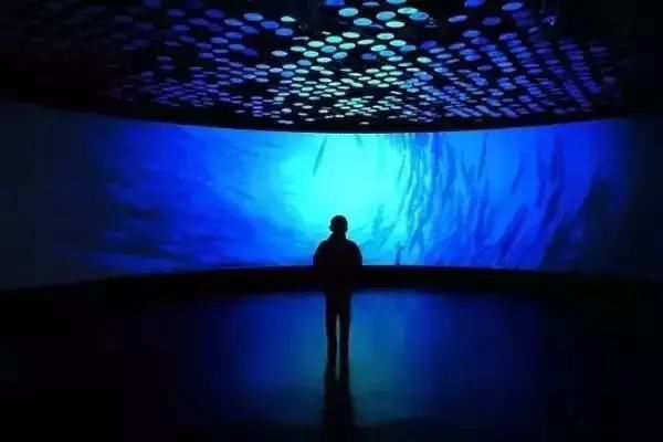 经过双十一剁手后,还有余钱出去玩吗?上海免