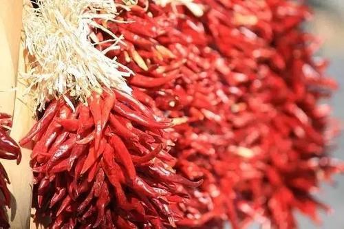 多吃辣椒有什么功效
