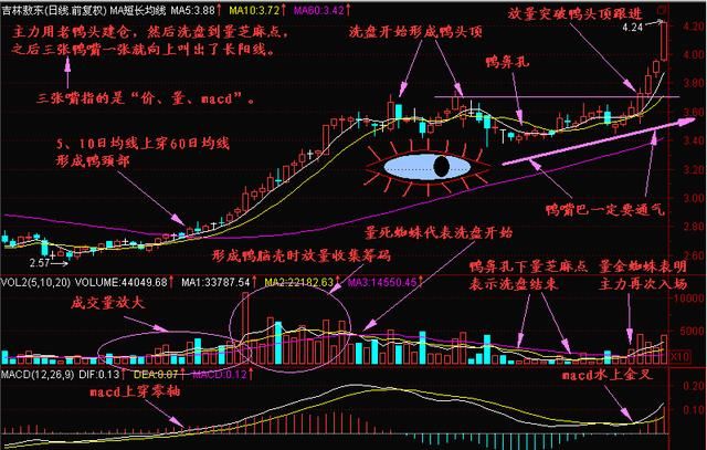 中国股市集万书精华最高效选股公式，出手即强势大牛股