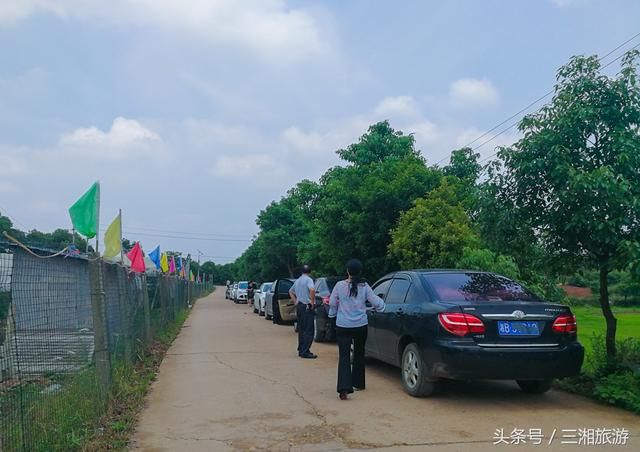 长沙南部有个蓝莓基地，果大微酸带甜味，初夏已进入盛果采摘期