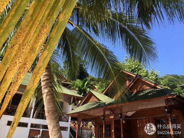 头脑一热，去马来西亚热浪岛了