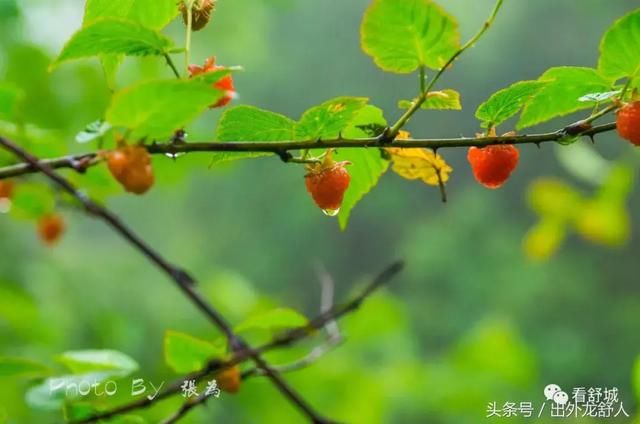 安徽舒城：影像志｜夏日的雨天 游“世外桃源，三国故地”天子寨