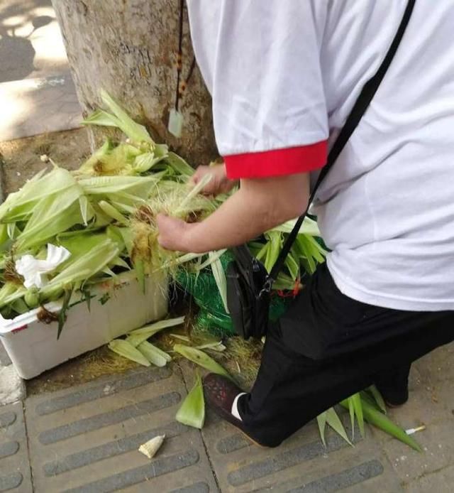 一位老人菜摊旁边捡这个，听说能治痛风，真的么？