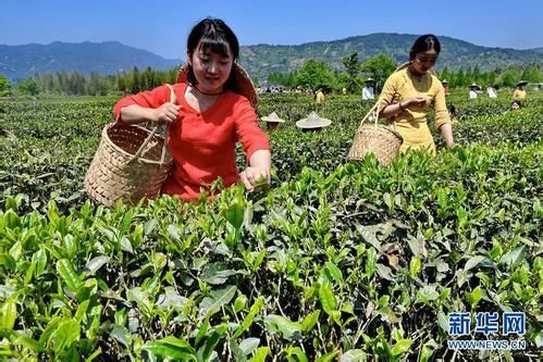 姥姥讲的故事之十