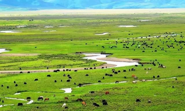 此生必走一次的中国最美景观大道