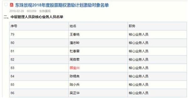 ppp项目的项目公司收入来源