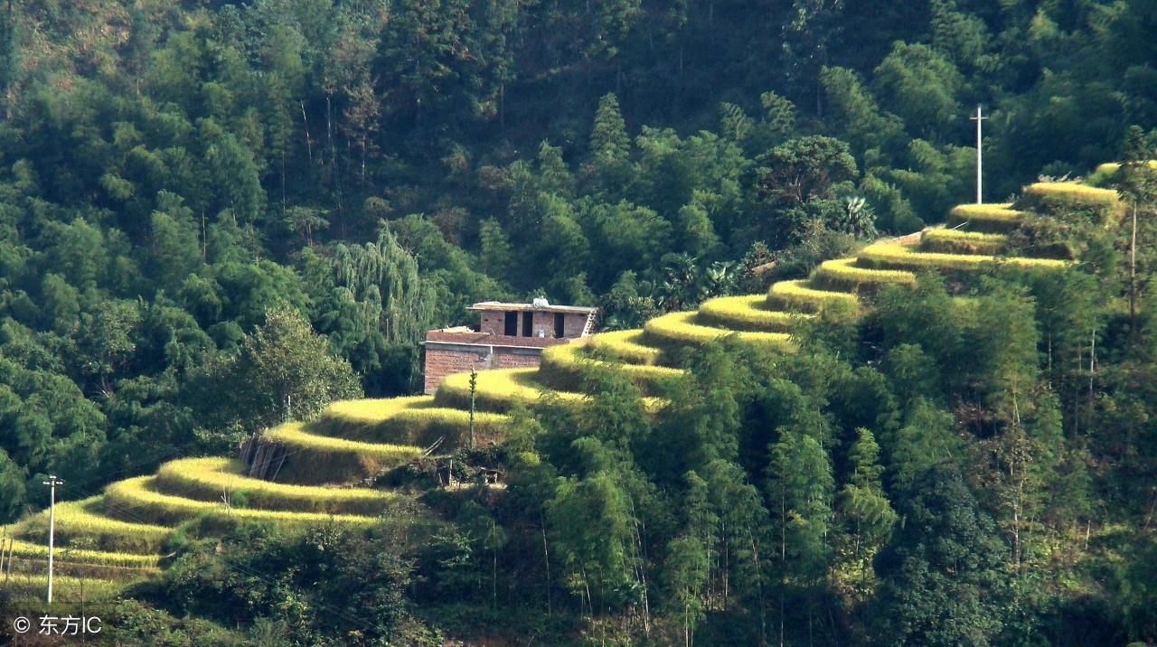 心理测试：你觉得哪里的风景好看？测你与他结局如何