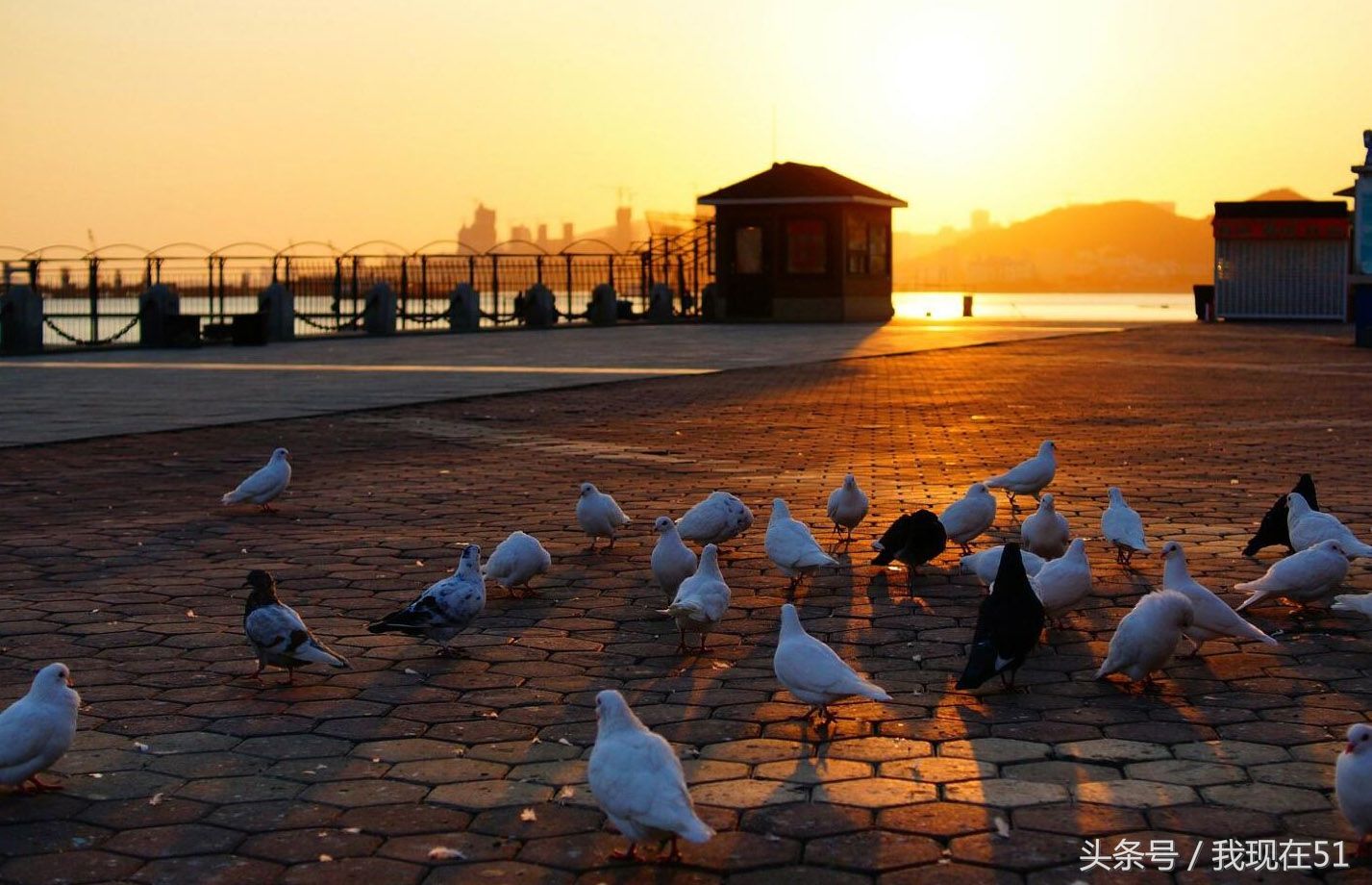 大连的海星广场--大连市的地标