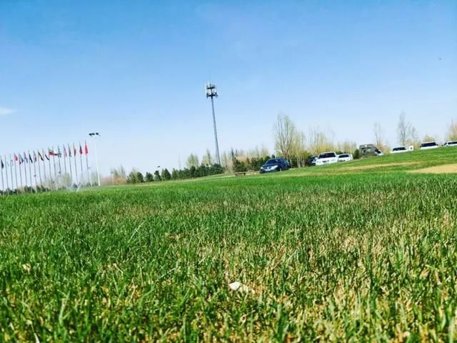 在浩瀚无际的库布其沙漠中，出现一个奇迹，一个海市蜃楼般的存在