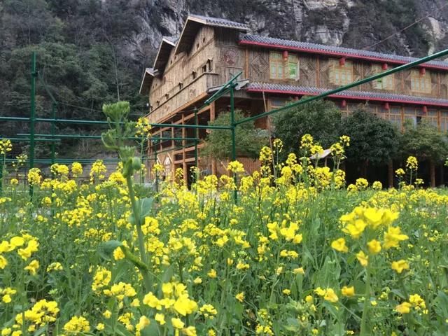 清明踏春冷门景点：看彩林、赏桂花，观峡谷，玩雪水，拒绝人挤人