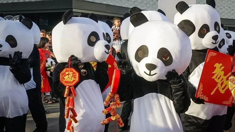 【多图】我在现场 | 春节千人大巡游，迪拜史上最大规模中国新年