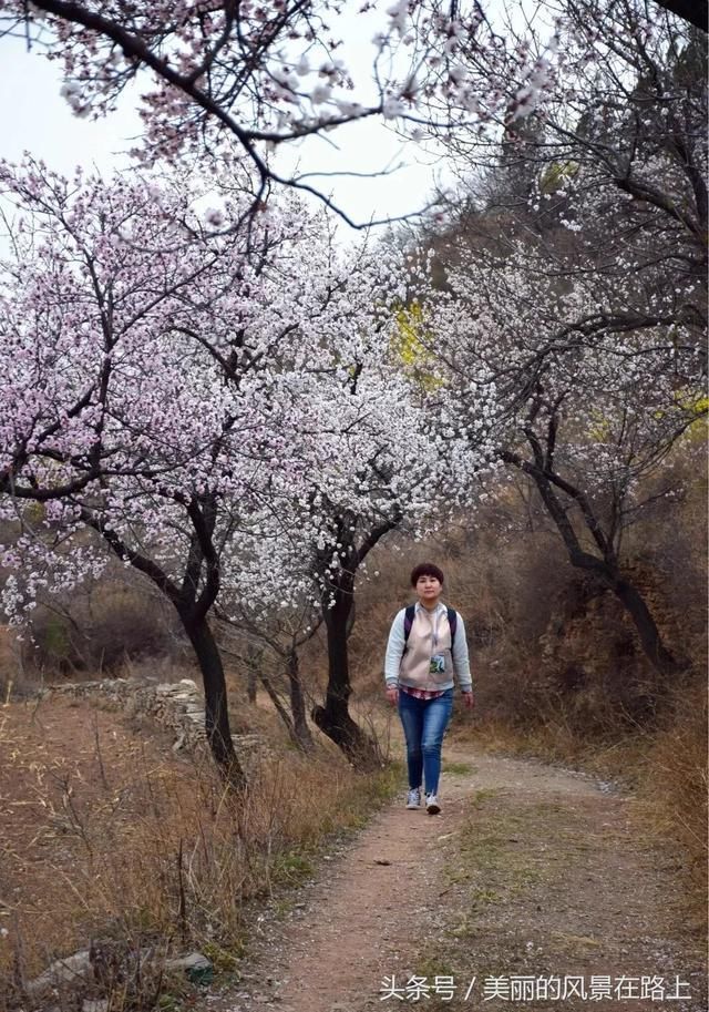 清明节假期◆世外桃源 林州马鞍垴、太行平湖、蚁尖寨休闲之旅