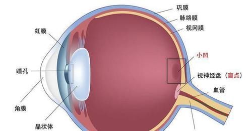 手机摄像头照不到