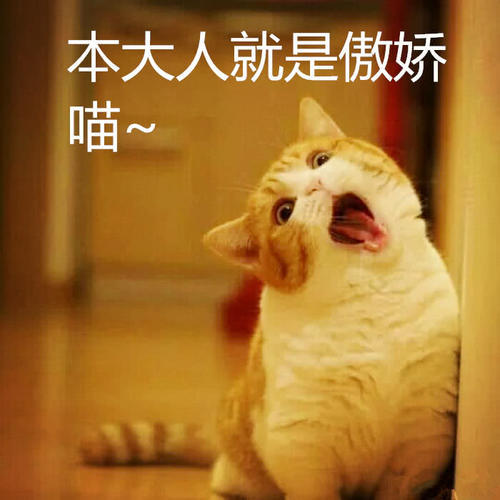 超萌表情表情:本宠物就是傲娇,皮到你怀疑人大人包游戏安装图片