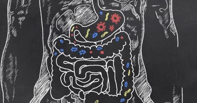 预包装食品包括哪些