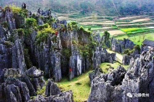 正在公示!贵州这17县候选全国百佳，快来为你家乡投票点赞!