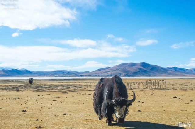 川藏线自驾游一趟为什么那么贵,进来看了才知道!