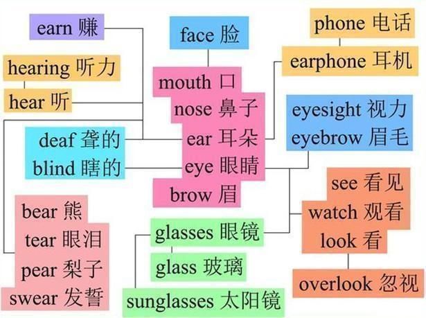 孩子英语基础入门就该这样记单词,5分钟记800个!从小过目不忘