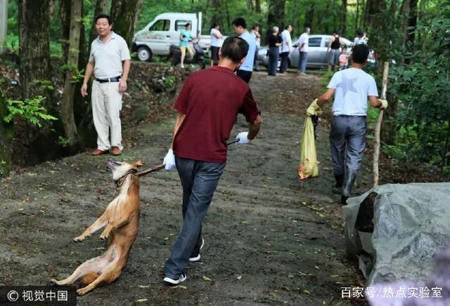 中国式养狗的各种陋习,毒杀狗狗一万次也解决