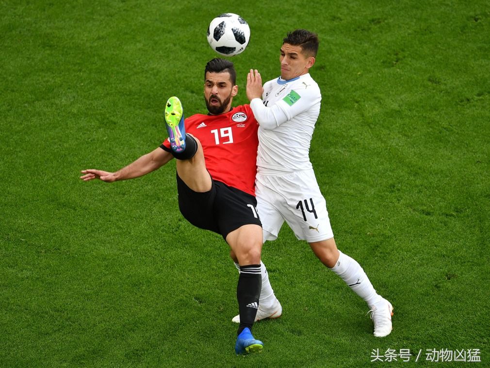 2018俄罗斯世界杯小组赛A组 乌拉圭1:0击败埃