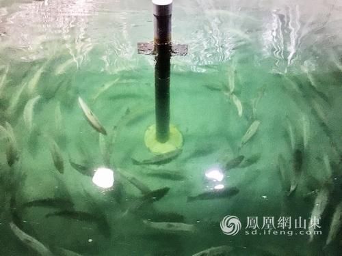 现代特色海洋产业助力烟台海洋经济建设