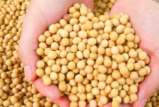 想瘦身的人晚餐吃什么?建议:不能不吃饭,合理