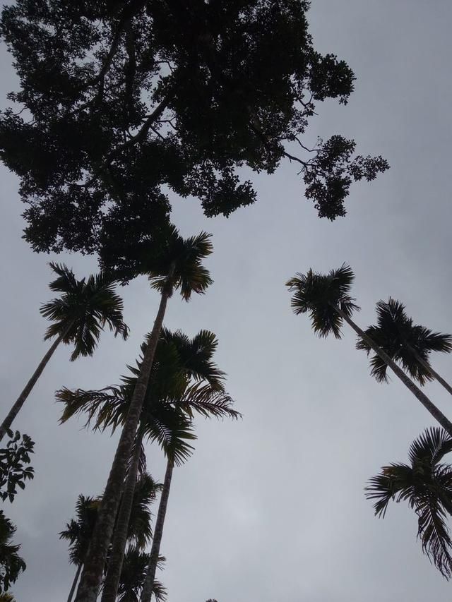 一家人甜蜜的三亚亲子游