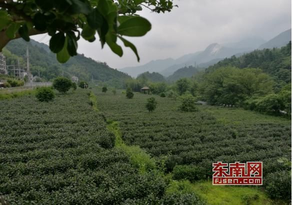 安徽安庆黄尾镇：无中生有造“彩虹” 绿水青山变金山银山