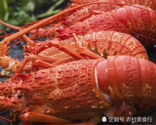 中国游客在“龙虾之都”买龙虾被拒，当地人：我们不卖，不过可以