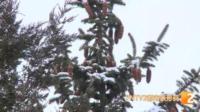 我在昆明艳阳高照 你在迪庆大雪纷飞