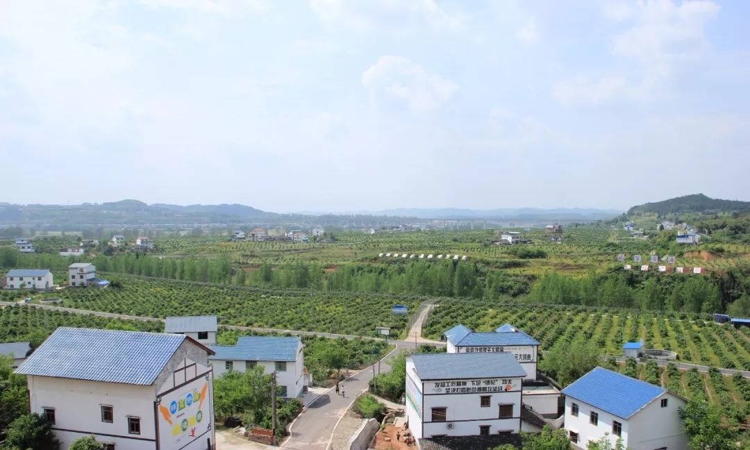 四川南充青姓总人口_四川南充青居镇风景(2)