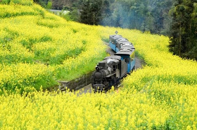 3月最佳旅行地 | 中国最美的春天都在这里了~