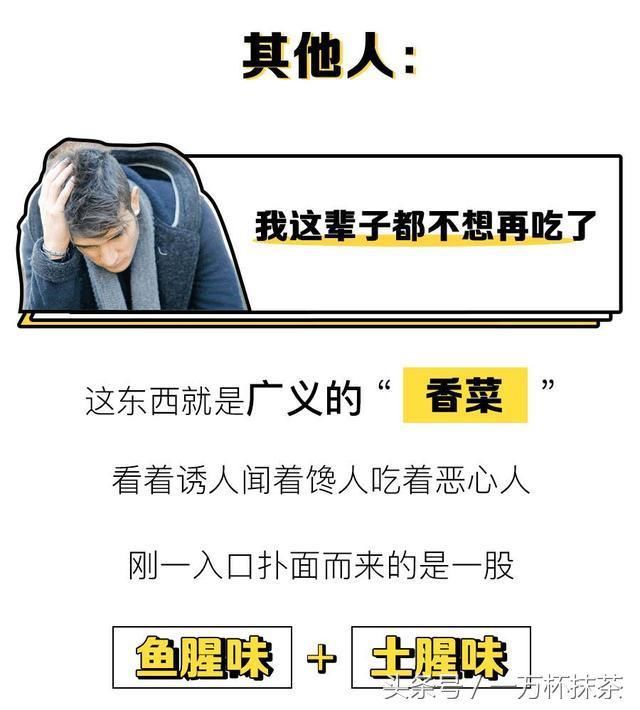 美食：为什么在当地人眼中的美味，外省人却难以接受？