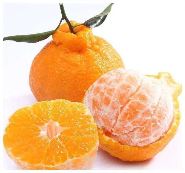 2019年重点规划湘西地区柑橘产业的发展与展
