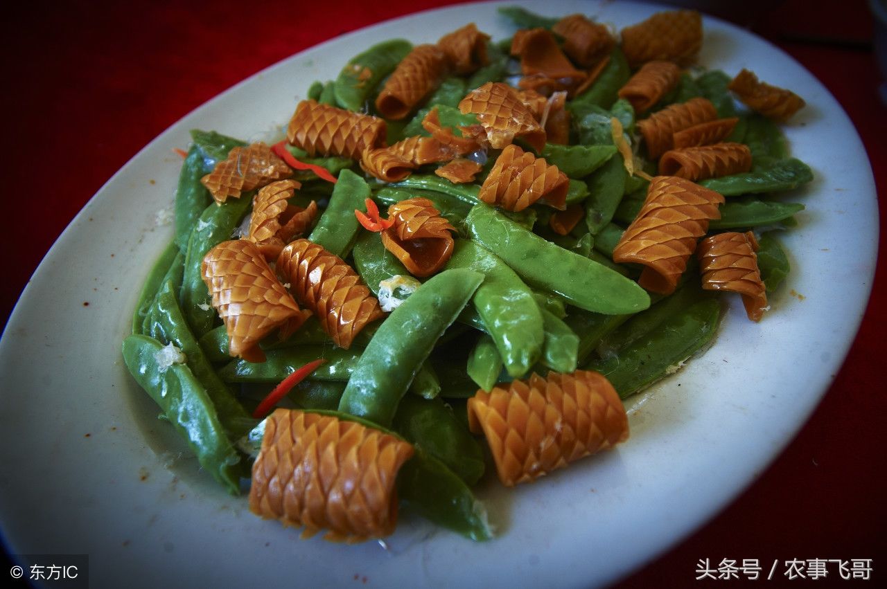 一组治愈厌食症的美食图片,看得我直流口水,你