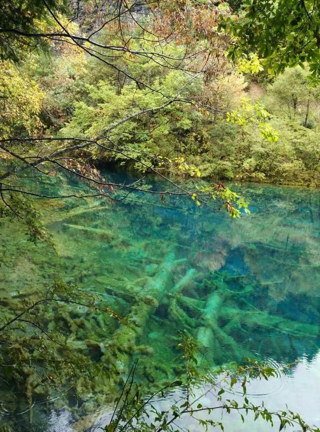 去九寨沟必去的几个地方，处处都有看点，不知你是否错过了