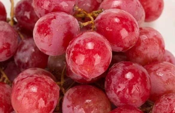 提子的功效与作用, 吃提子的注意事项有哪些?