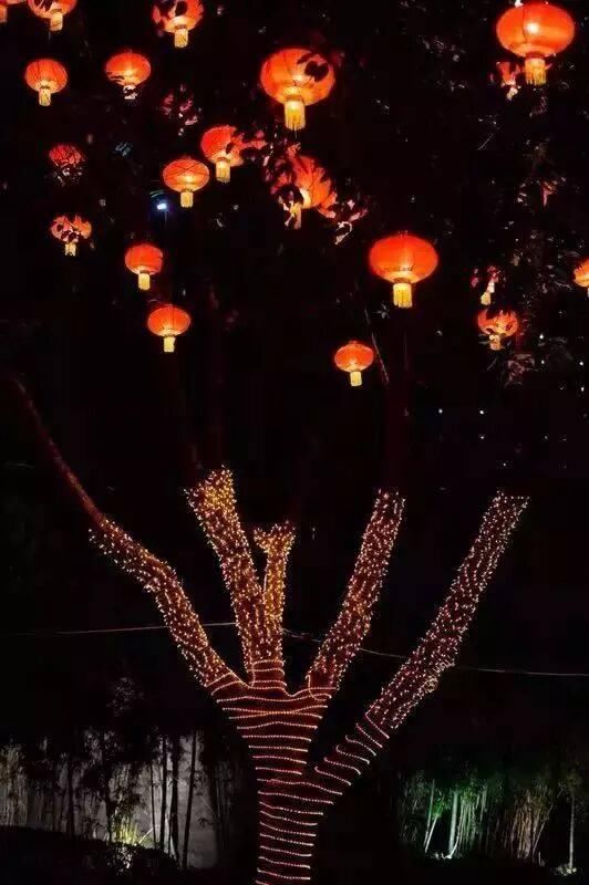 春节到了,山城重庆已变成了“天上的街市”