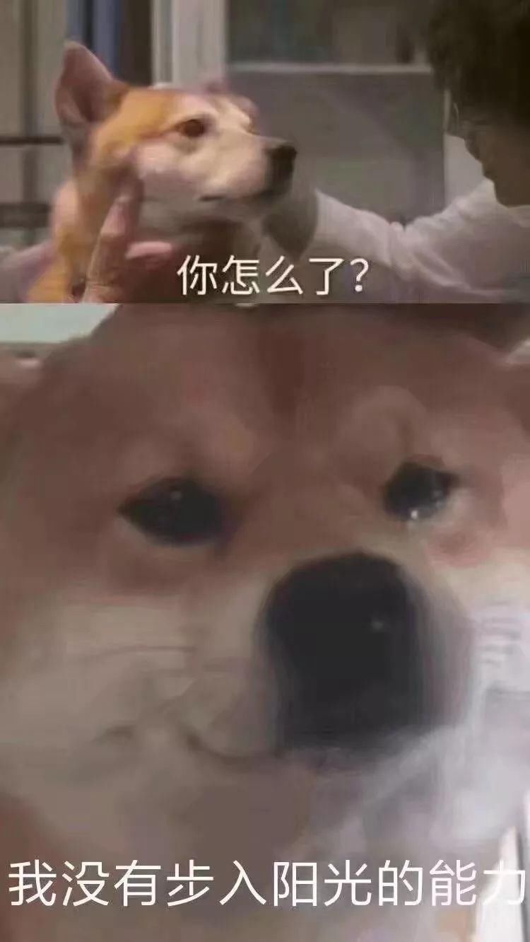 2019上海春考作文题公布!最全名师点评,为您解