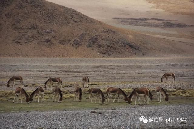 此生必走一次的中国最美景观大道