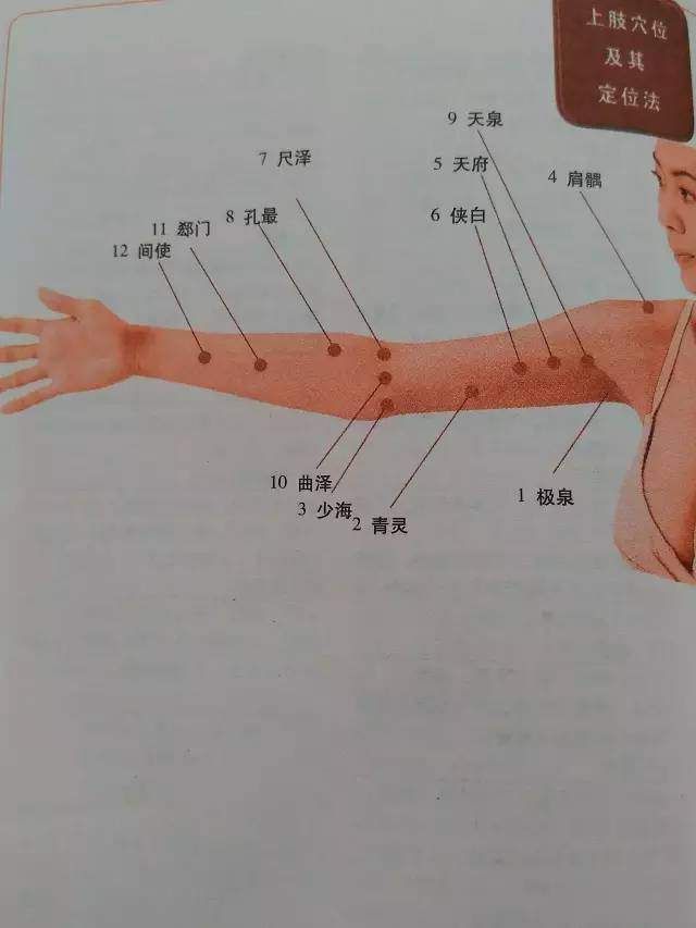 一份很全面的全身穴位图解 一定要收藏