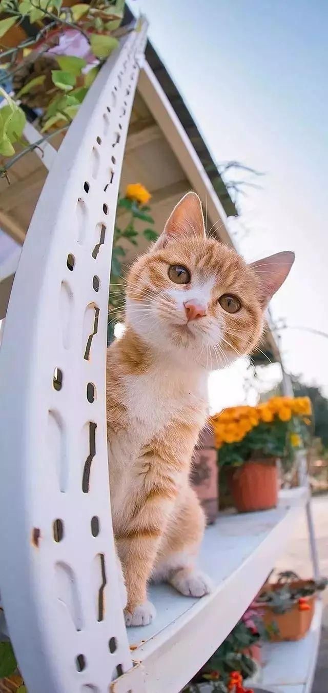 美丽的风景不在