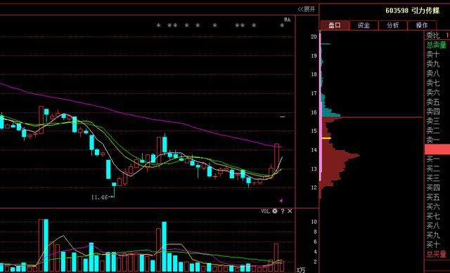 游资峰回路转，欢乐海岸加仓80%宏川，网达还能涨停！