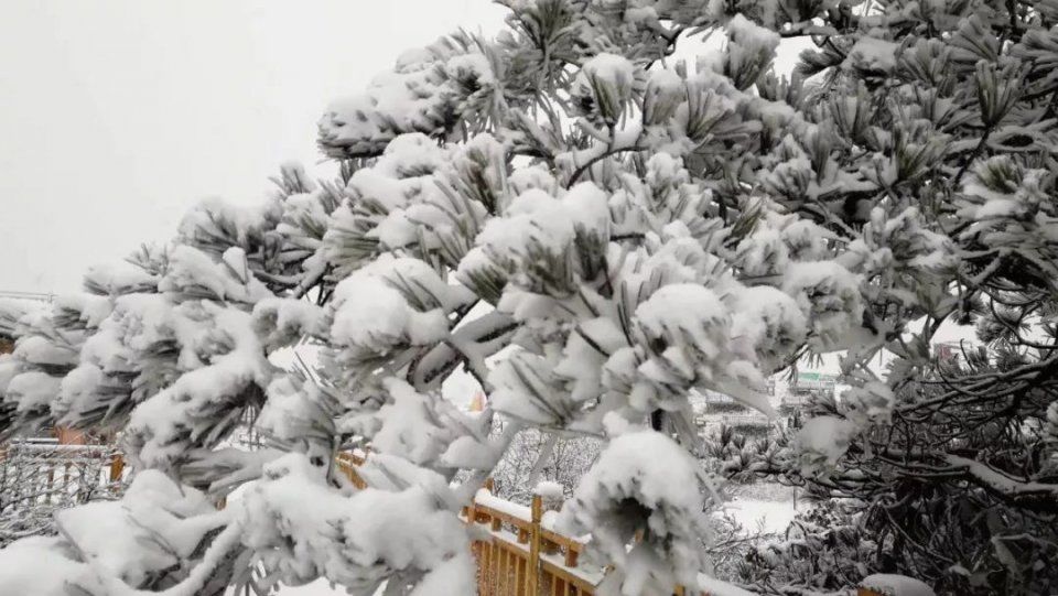 太突然!江西多地下雪!-1℃25℃!气温直升车即将发动...