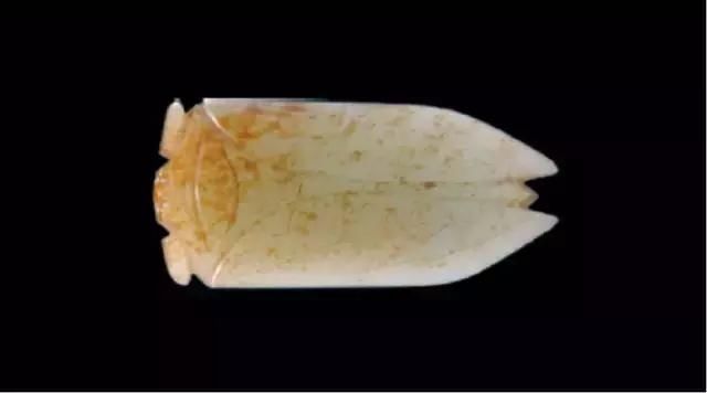 从古墓里挖出来的天价古董,真的能戴吗?